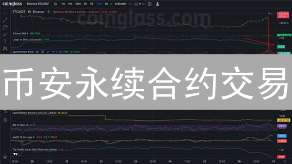 币安永续合约交易：新手入门到精通实战指南