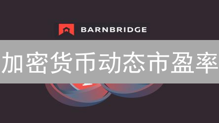 加密货币动态市盈率：未来投资风向标深度解读