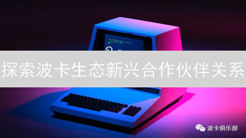 探索波卡生态新兴合作伙伴关系：未来之星