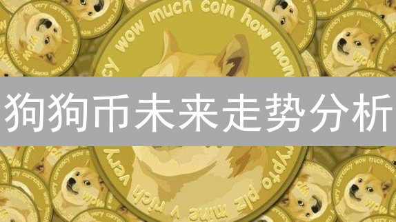 狗狗币未来走势分析：潜力与挑战并存