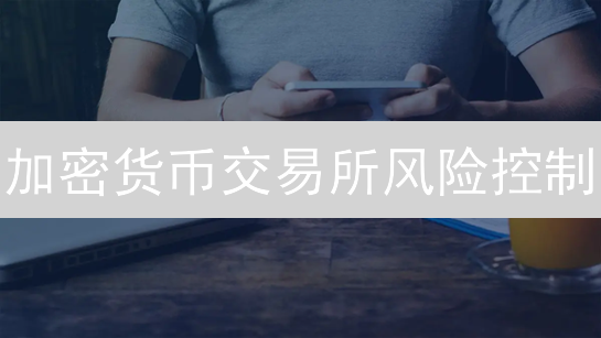 加密货币交易所风险控制：虚拟欧意深度解析