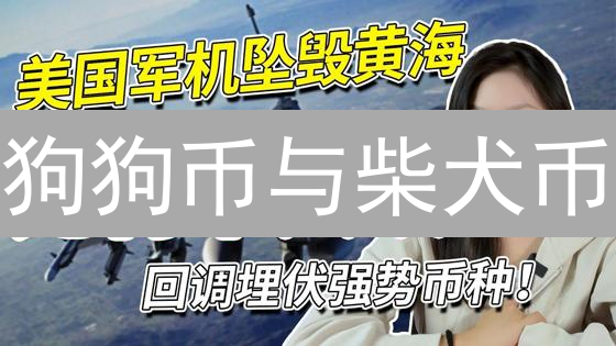 狗狗币与柴犬币：异同、潜力、风险与应用分析