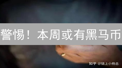 警惕！本周或有黑马币？欧易深度解析市值评估！