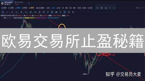 欧易交易所止盈秘籍：新手也能轻松锁定利润！