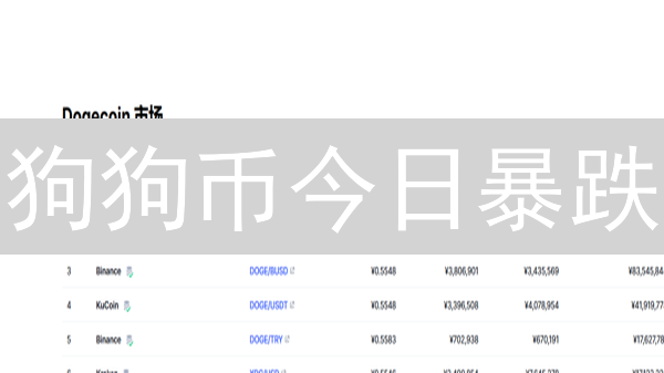 狗狗币今日暴跌？还能抄底吗？未来走势深度分析！