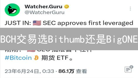 BCH交易选Bithumb还是BigONE？终极对比揭秘！