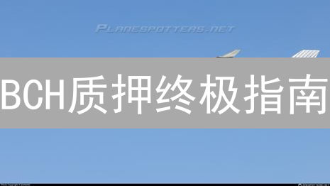 BCH质押终极指南：如何安全高效地赚取被动收入？
