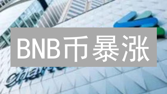 BNB币暴涨？2024年价格预测，抓住财富密码！