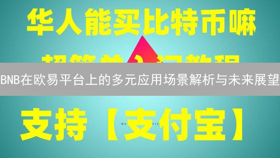 BNB在欧易平台上的多元应用场景解析与未来展望