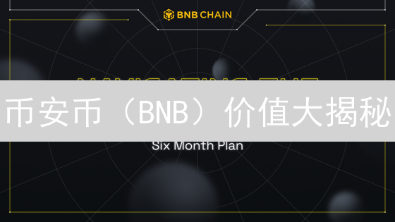 币安币（BNB）价值大揭秘：交易所排名下跌，它还能行吗？