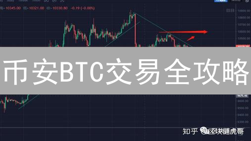 币安BTC交易全攻略：现货、期货、杠杆代币，哪款更适合你？