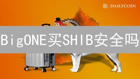 BigONE买SHIB安全吗？5分钟搞懂柴犬币交易风险！