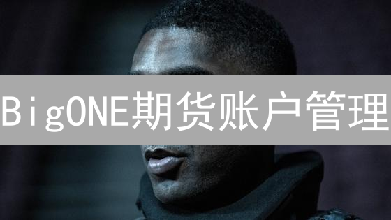 BigONE期货账户管理：高效交易策略构建与安全保障