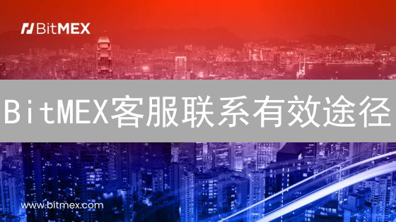 BitMEX客服联系有效途径：技巧与指南