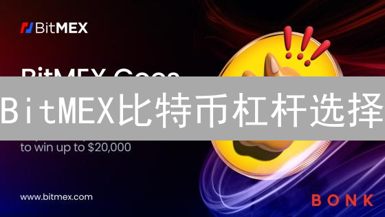 BitMEX比特币杠杆选择：高风险游戏与精细艺术