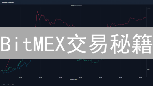BitMEX交易秘籍： BNB如何影响你的策略？（必读）