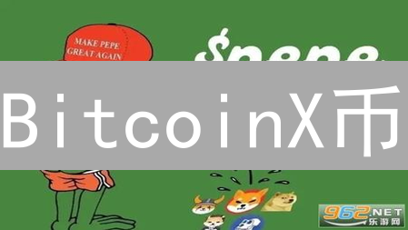 BitcoinX币：是创新还是泡沫？未来价值大猜想！
