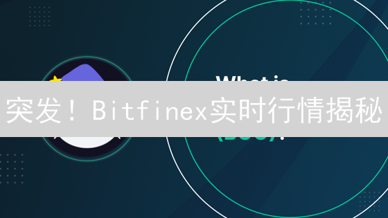 突发！Bitfinex实时行情揭秘：交易者必看指南，把握暴富先机！