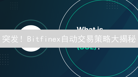 突发！Bitfinex自动交易策略大揭秘：这样设置，躺着也能赚钱？