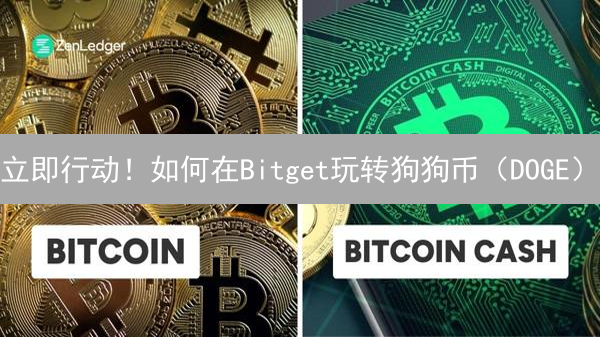 立即行动！如何在Bitget玩转狗狗币（DOGE）？深度分析与交易策略！