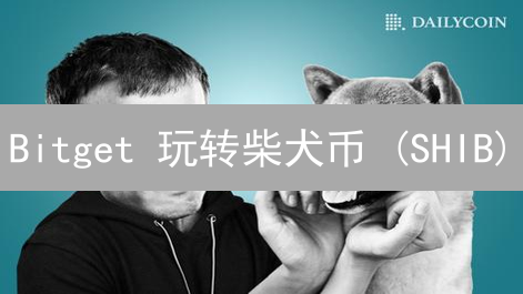 Bitget 玩转柴犬币 (SHIB)：USDT 交易终极指南！