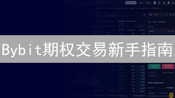 Bybit期权交易新手指南：10大优势与潜在风险全解析！