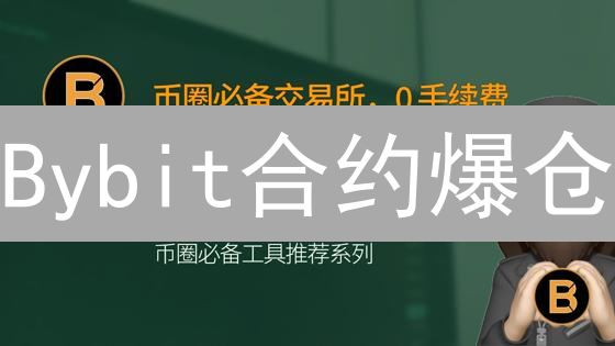 Bybit合约爆仓？掌握这几招，稳健盈利不是梦！