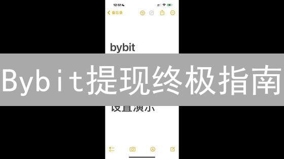 Bybit提现终极指南：避坑秘籍，快速到账！