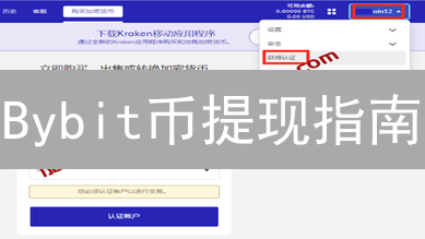 Bybit币提现指南：新手必看，安全高效提币全攻略！