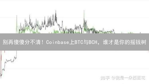 别再傻傻分不清！Coinbase上BTC与BCH，谁才是你的摇钱树？
