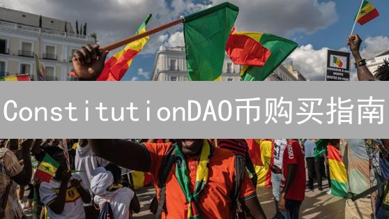 ConstitutionDAO币购买指南：数字资产投资分析