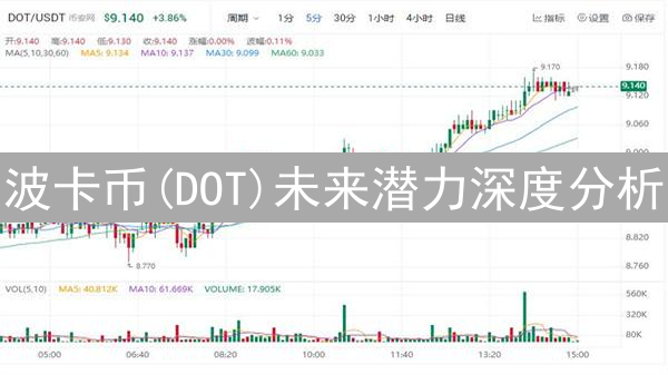 波卡币(DOT)未来潜力深度分析：互联互通的马拉松