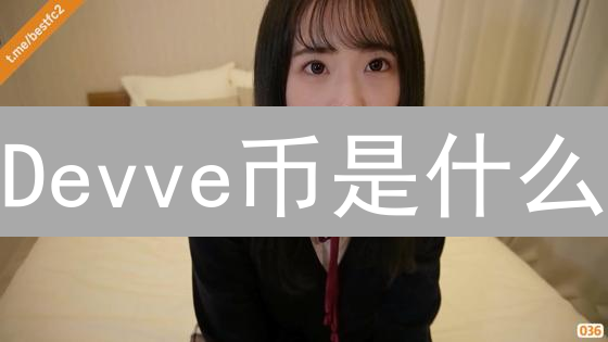 Devve币是什么？全面解析其技术、应用与挑战【2024最新】