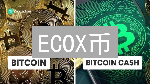 ECOX币：下一个财富密码？深度解析与投资风险警示！