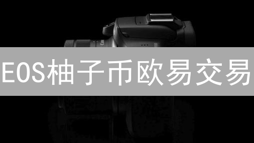 EOS柚子币欧易交易：新手必看！抓住暴涨机会？