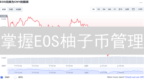 掌握EOS柚子币管理：四大技巧助你玩转数字资产！