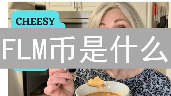 FLM币是什么？FlamingoFinance平台及其治理代币详解