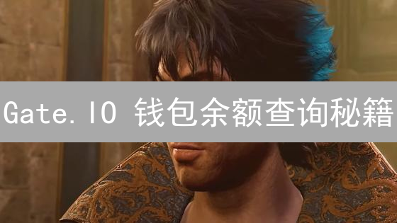 Gate.IO 钱包余额查询秘籍：高效掌握您的数字资产！
