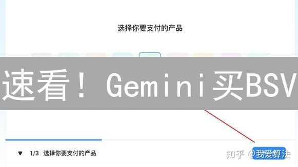 速看！Gemini买BSV：避坑指南+安全策略，新手必读！