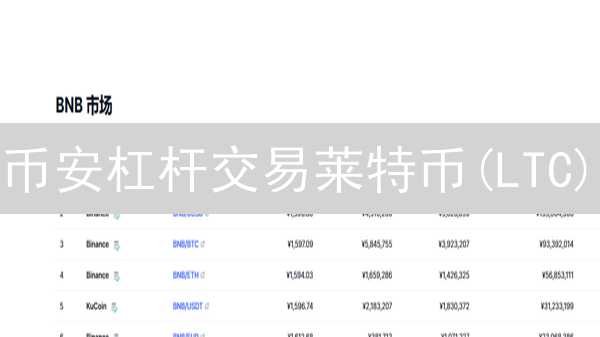 币安杠杆交易莱特币(LTC)？小心爆仓！新手必看风险控制指南！