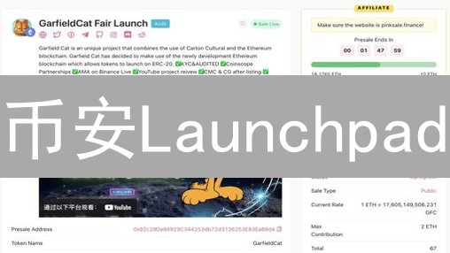 币安Launchpad：手慢无！如何抓住暴富机会？新手必看攻略！