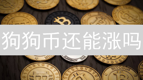 狗狗币还能涨吗？欧意OKX交易深度分析与未来展望