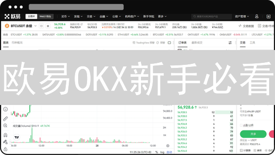 欧易OKX新手必看：如何选币？投资什么币能赚钱？
