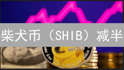 柴犬币（SHIB）减半？深度剖析SHIB币未来潜力与投资风险