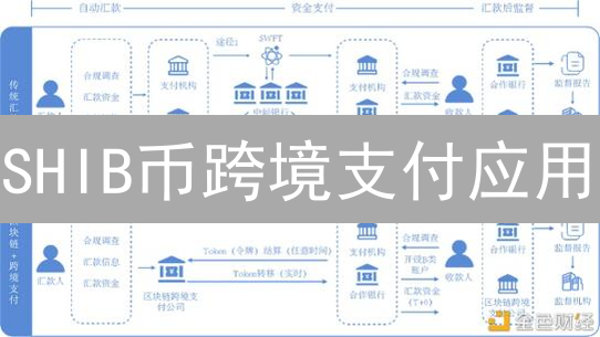 SHIB币跨境支付应用：重塑未来？