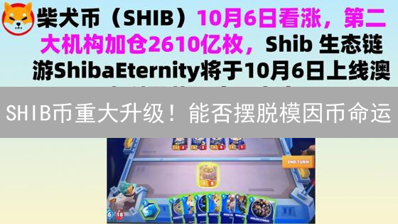 SHIB币重大升级！能否摆脱模因币命运？深度解析