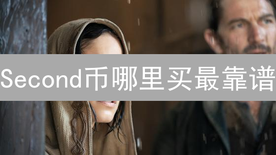 Second币哪里买最靠谱？新手购买指南与平台选择建议