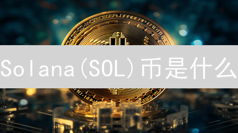 Solana(SOL)币是什么？SOL币的用途、价值与未来发展分析
