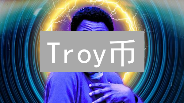 Troy币：连接传统金融与DeFi的桥梁？深度前景分析与价值解读