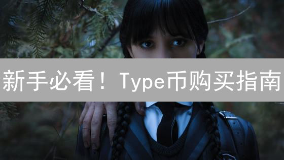 新手必看！Type币购买指南：安全交易平台推荐与风险应对